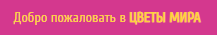 Цветы Мира